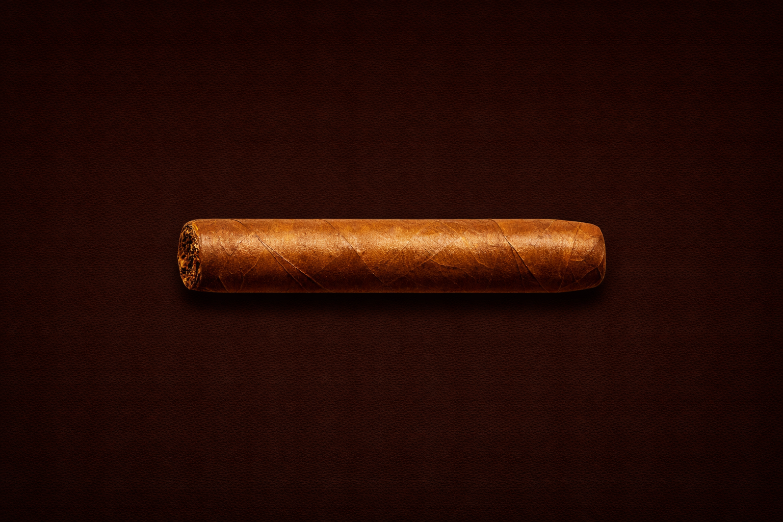 Petit Corona cigar shape