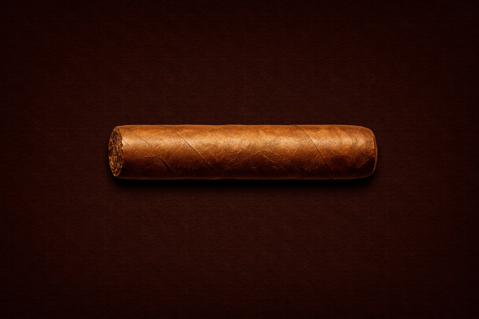 Robusto cigar shape